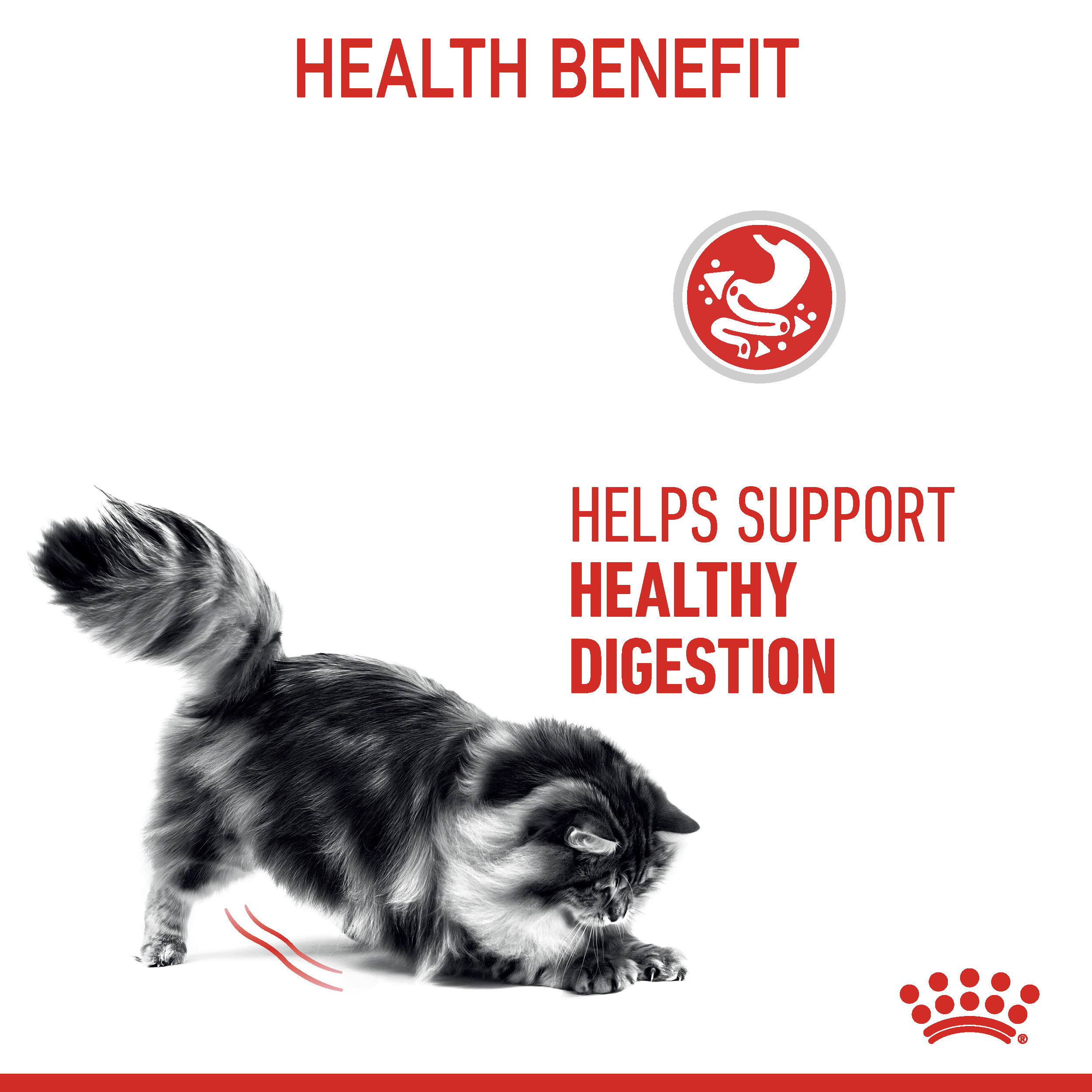 royal canin digest sensitive wet cat food