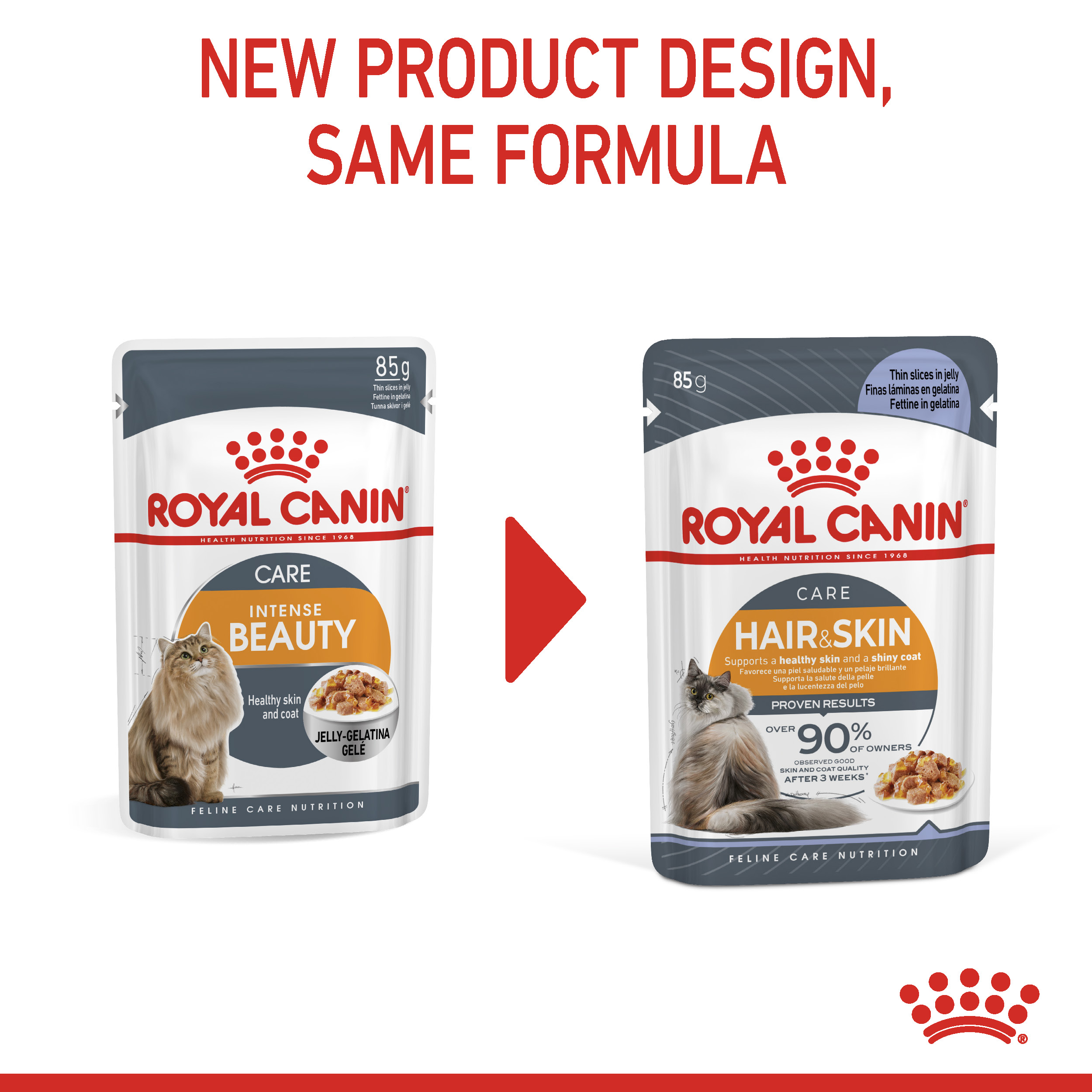 Hair Skin Care In Jelly Royal Canin UK