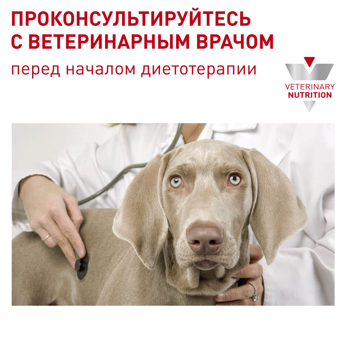 royal canin vcn neutered adult medium dog