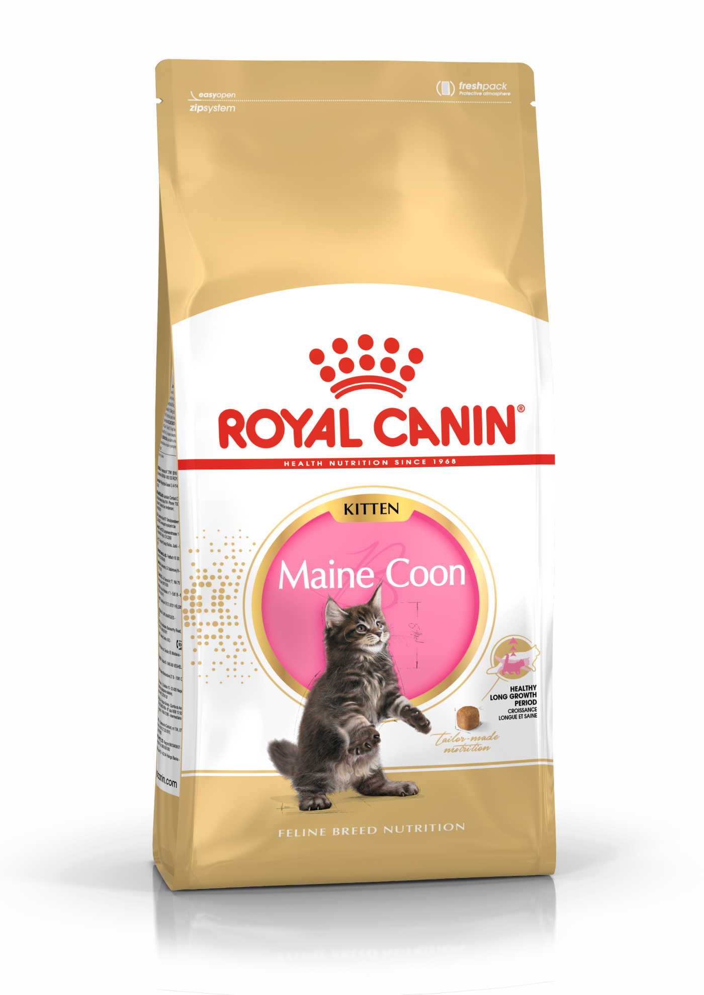 fantoom Kustlijn Toegeven Maine Coon Kitten – Produkter för katter Produkter för kattungar | Royal  Canin Shop
