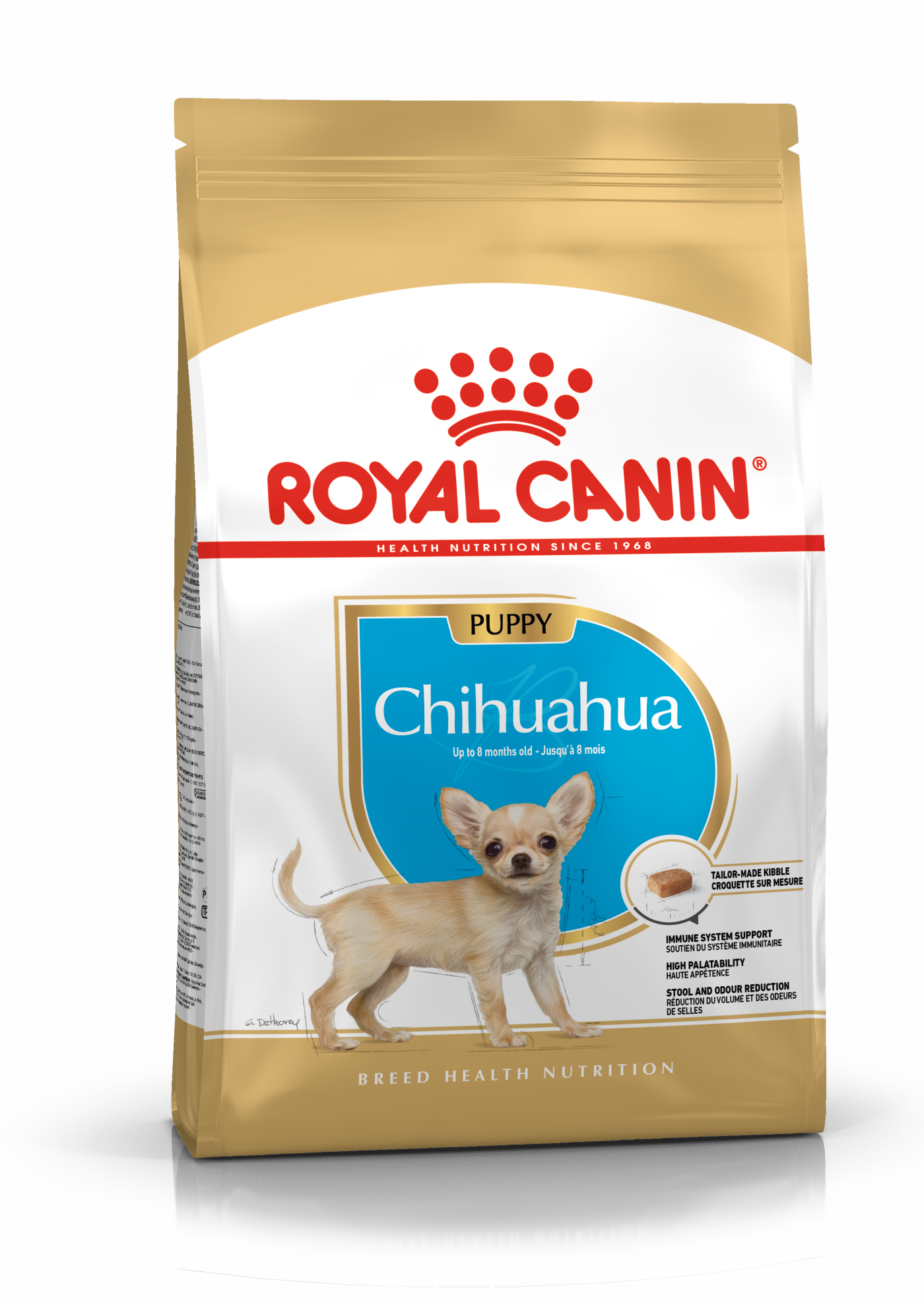 Haalbaarheid Dek de tafel Brig Chihuahua Puppy – Produkter för hundar Produkter för valpar | Royal Canin  Shop