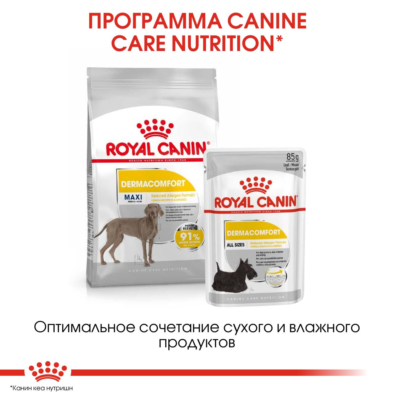 maxi dermacomfort royal canin