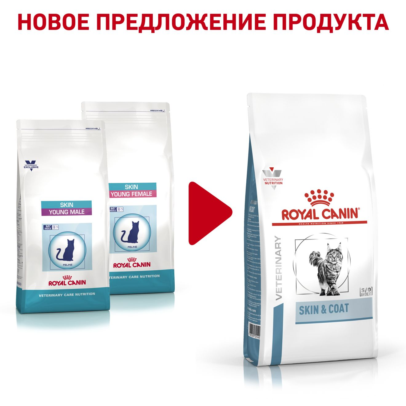 skin coat royal canin