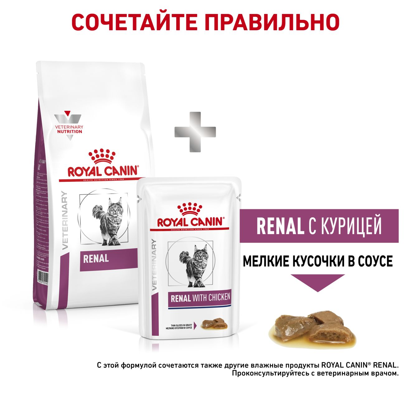 royal canin renal cat food 4kg